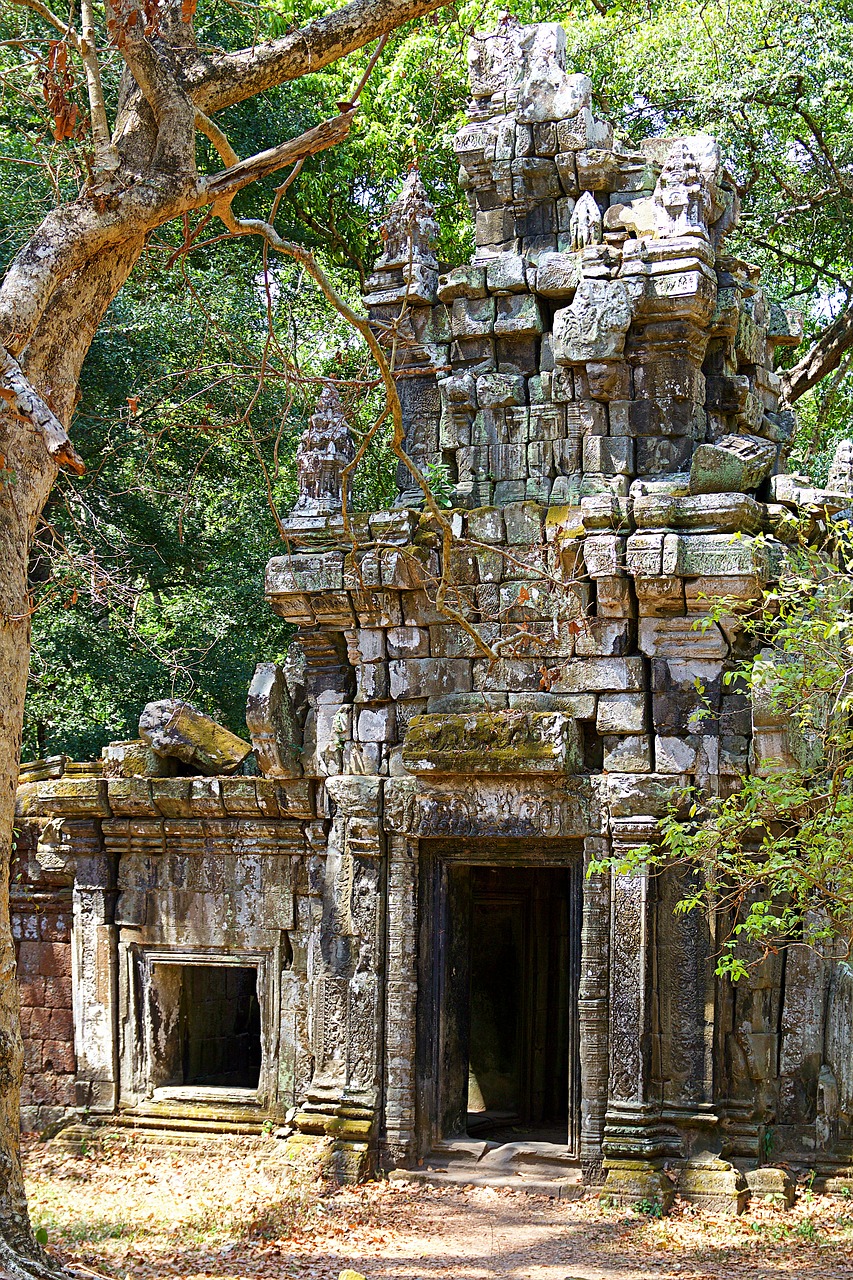 angkor wat cambodia asia free photo
