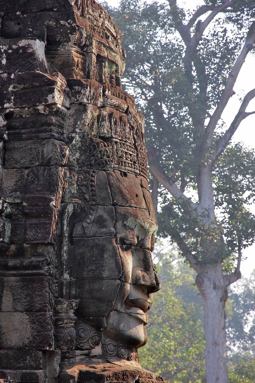 angkor wat  ruin  culture free photo