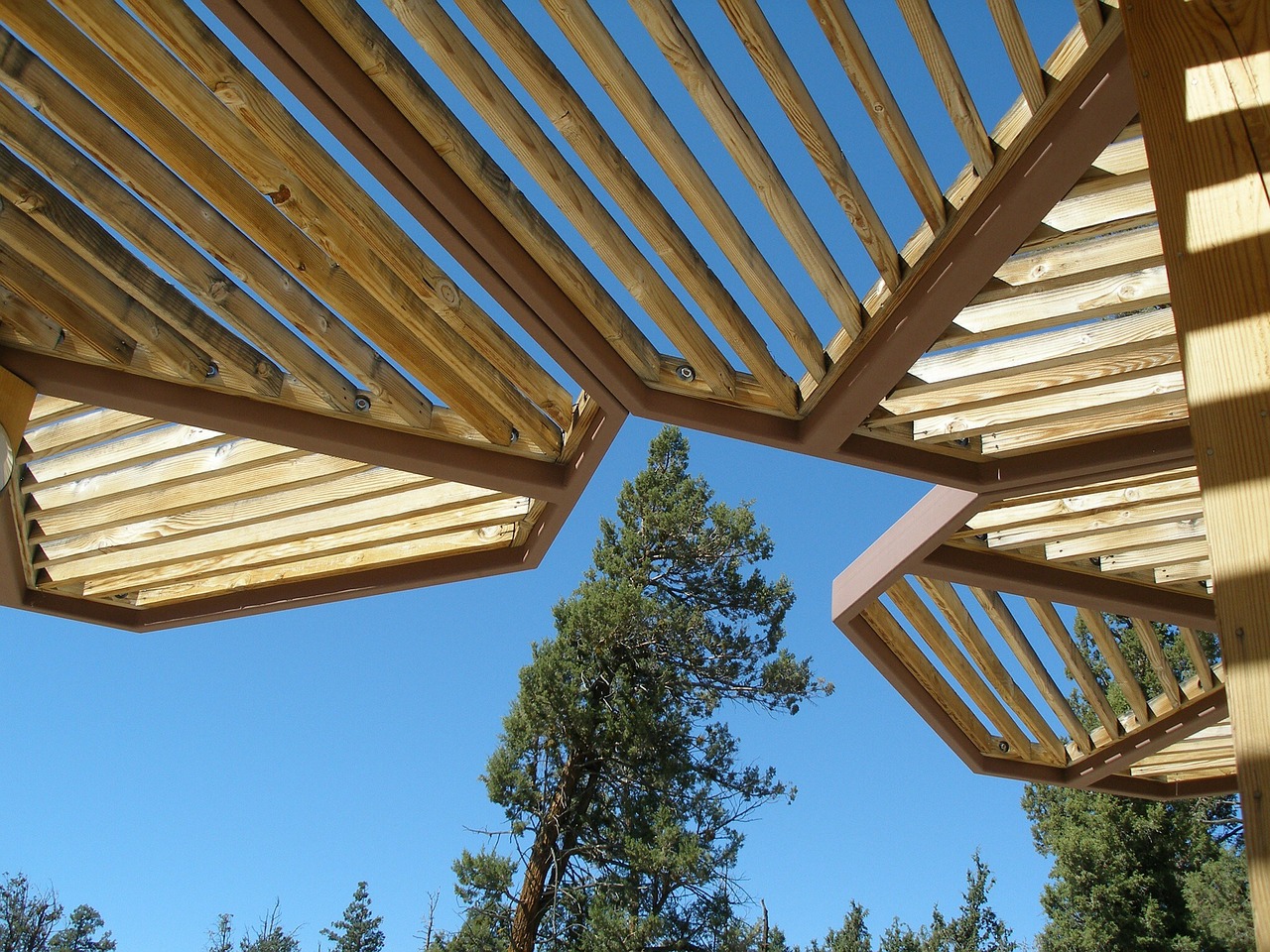 angle geometrical angles wooden roof free photo