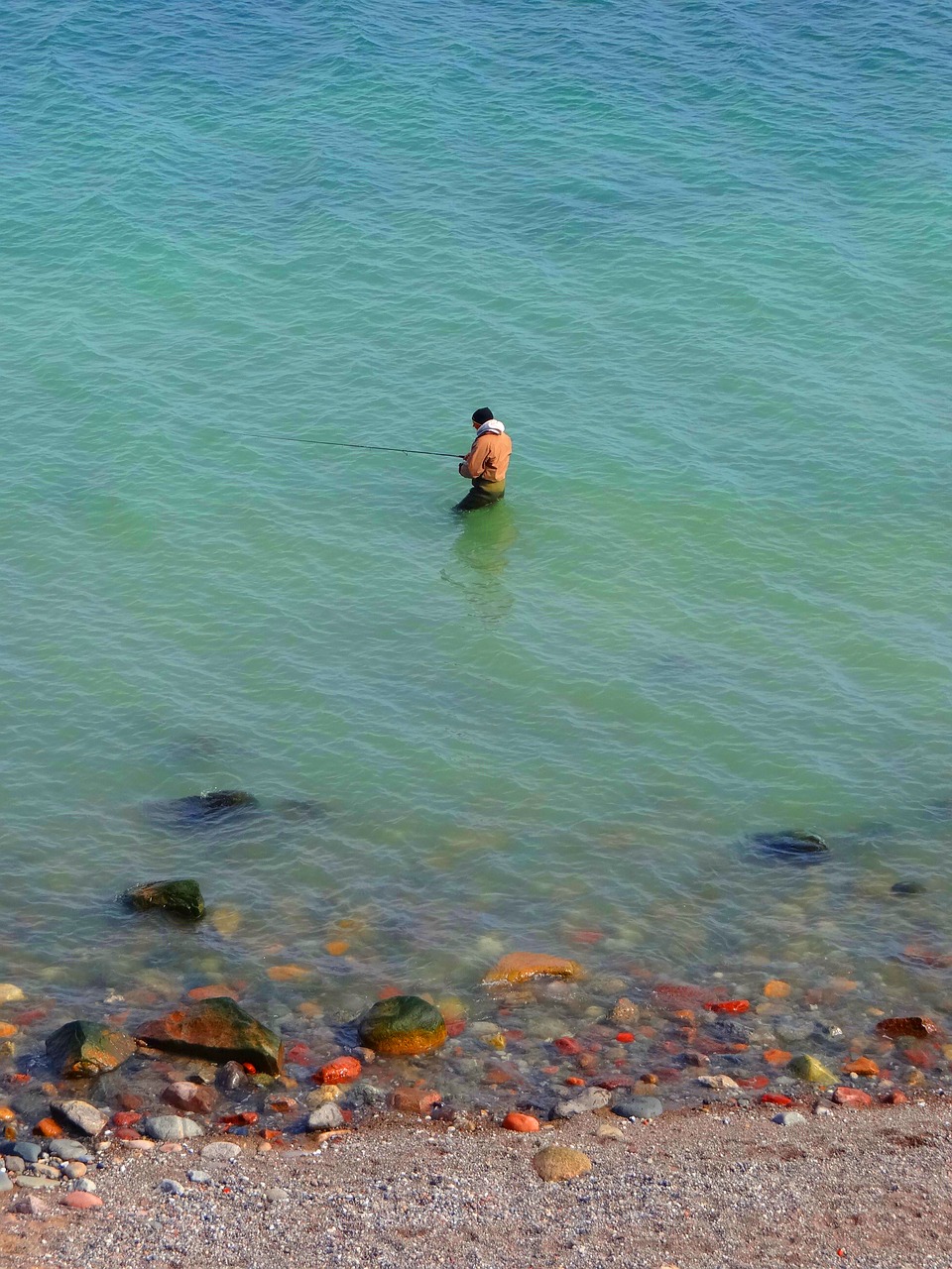 angler baltic sea coast free photo