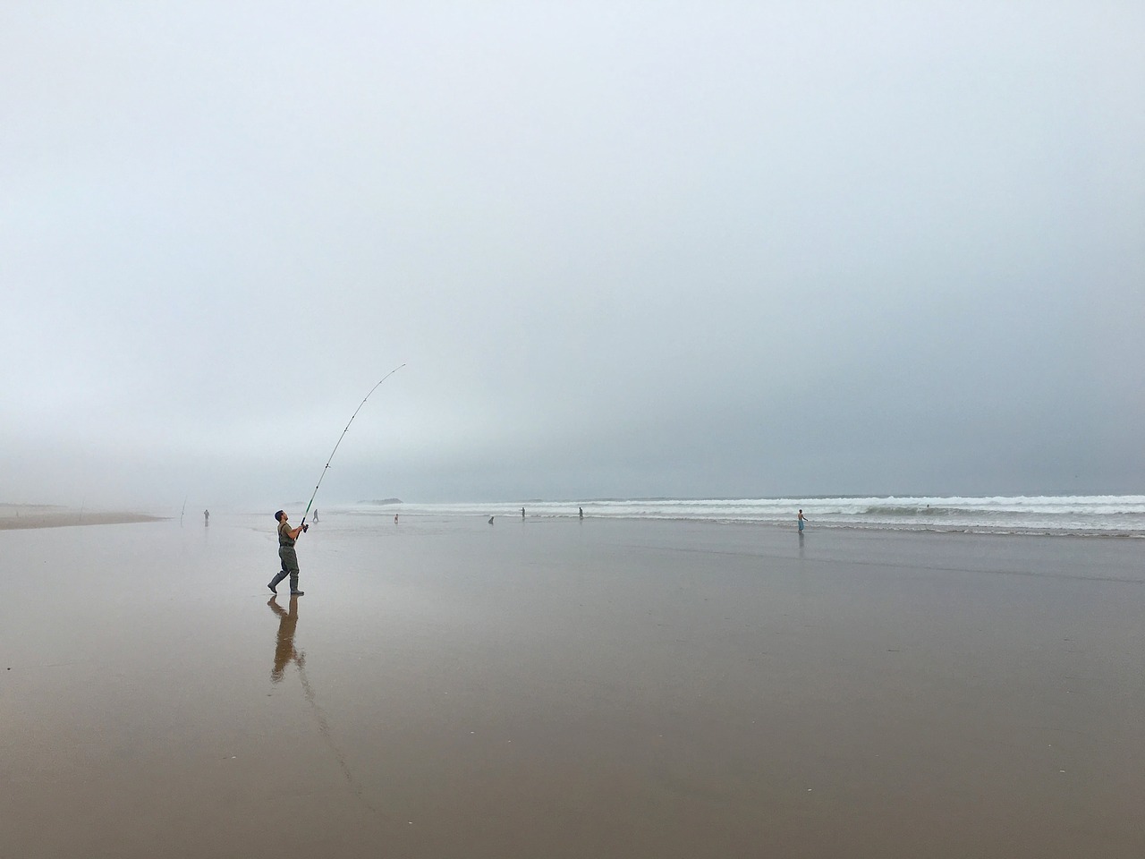 angler fish beach free photo