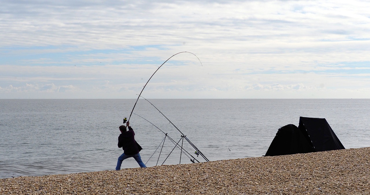 angler fisherman fishing free photo
