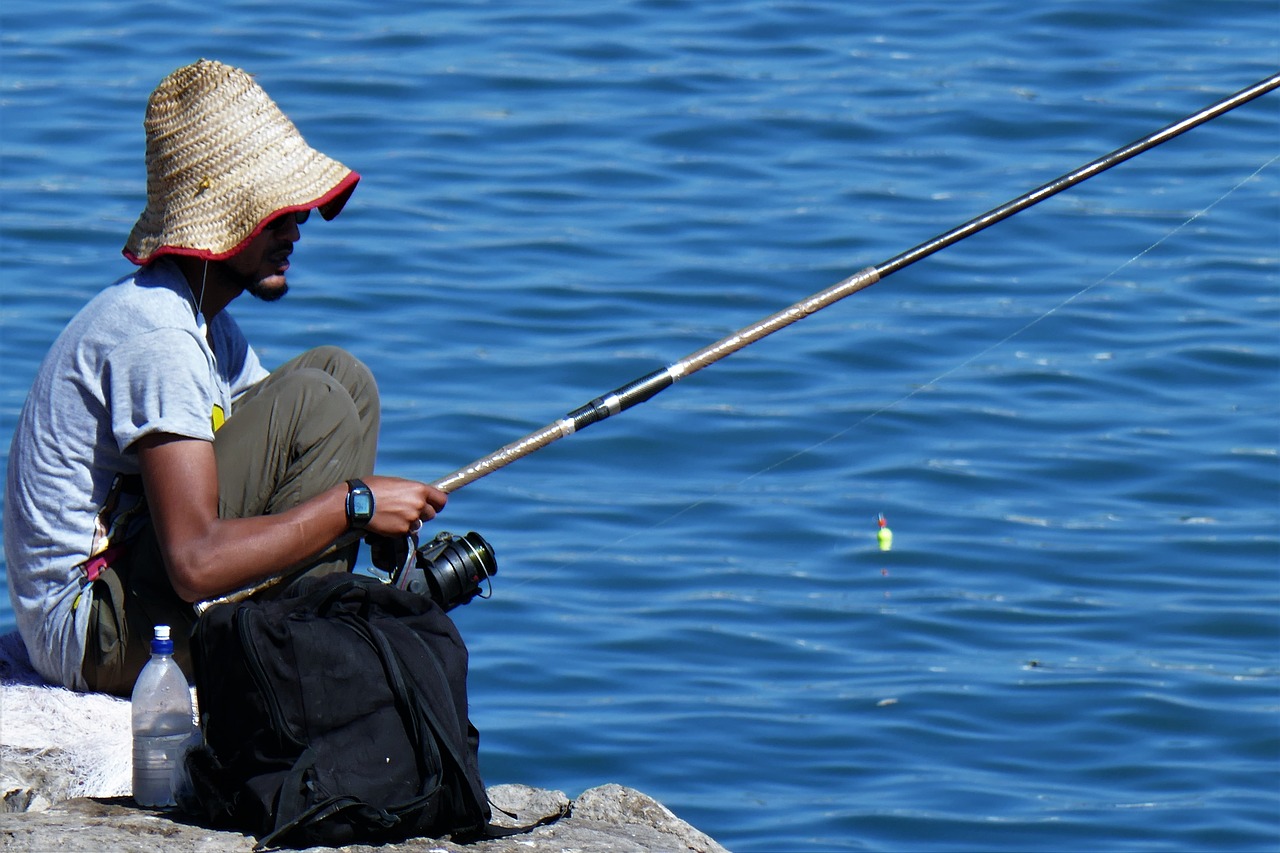 angler fish angel free photo