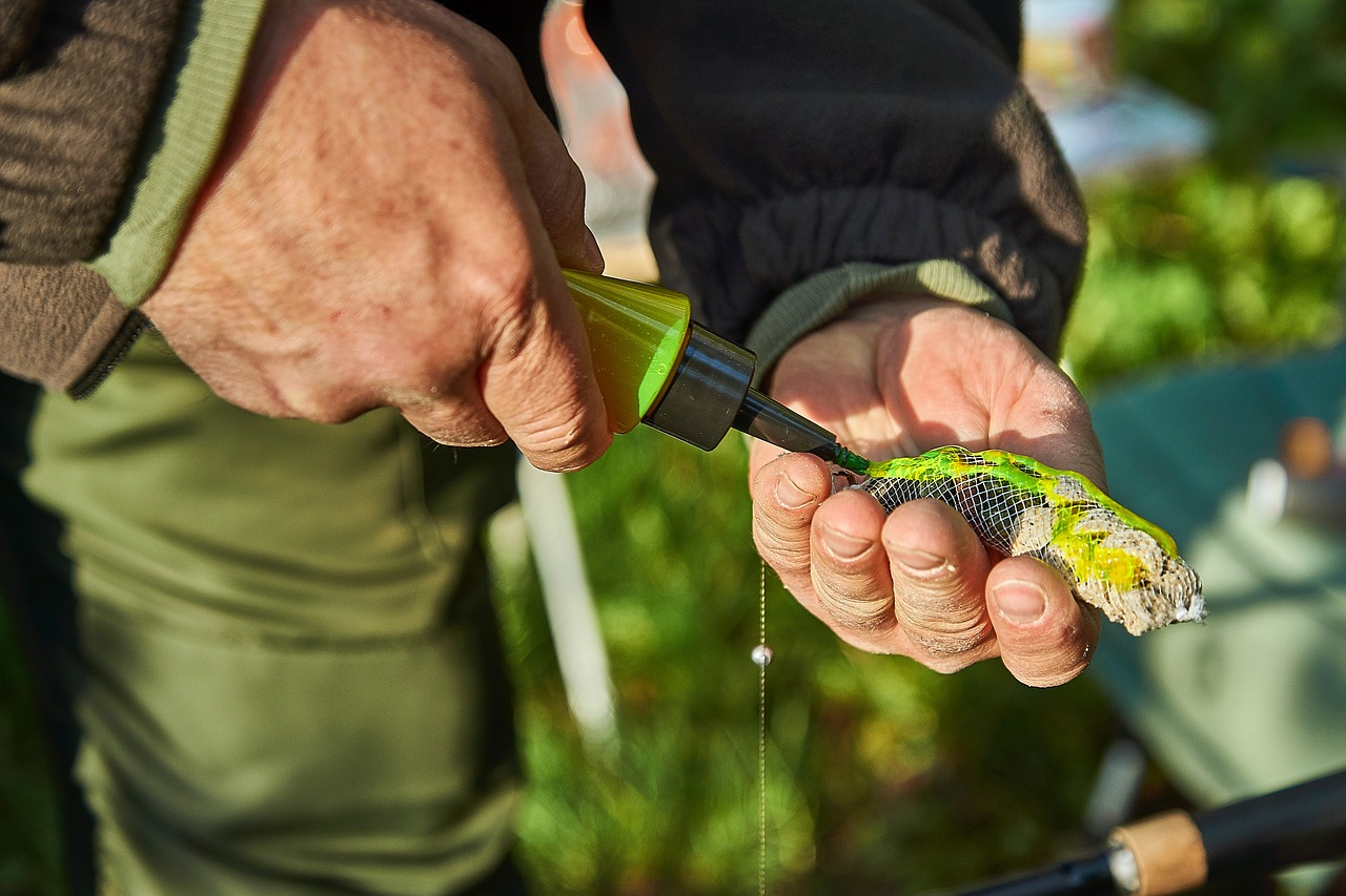 angler bait angel free photo