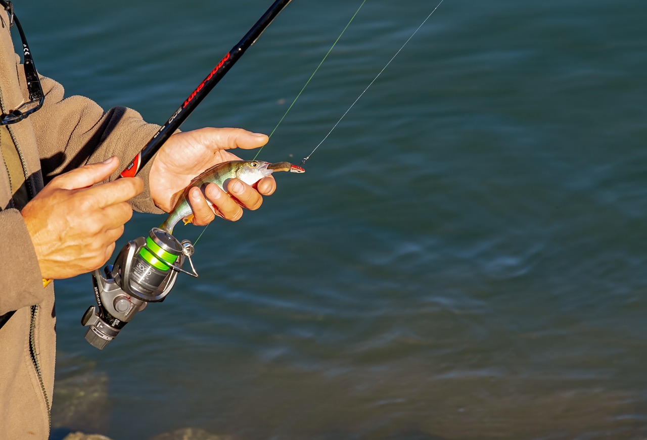 Angler, man, human, person, fishing rod - free image from needpix.com