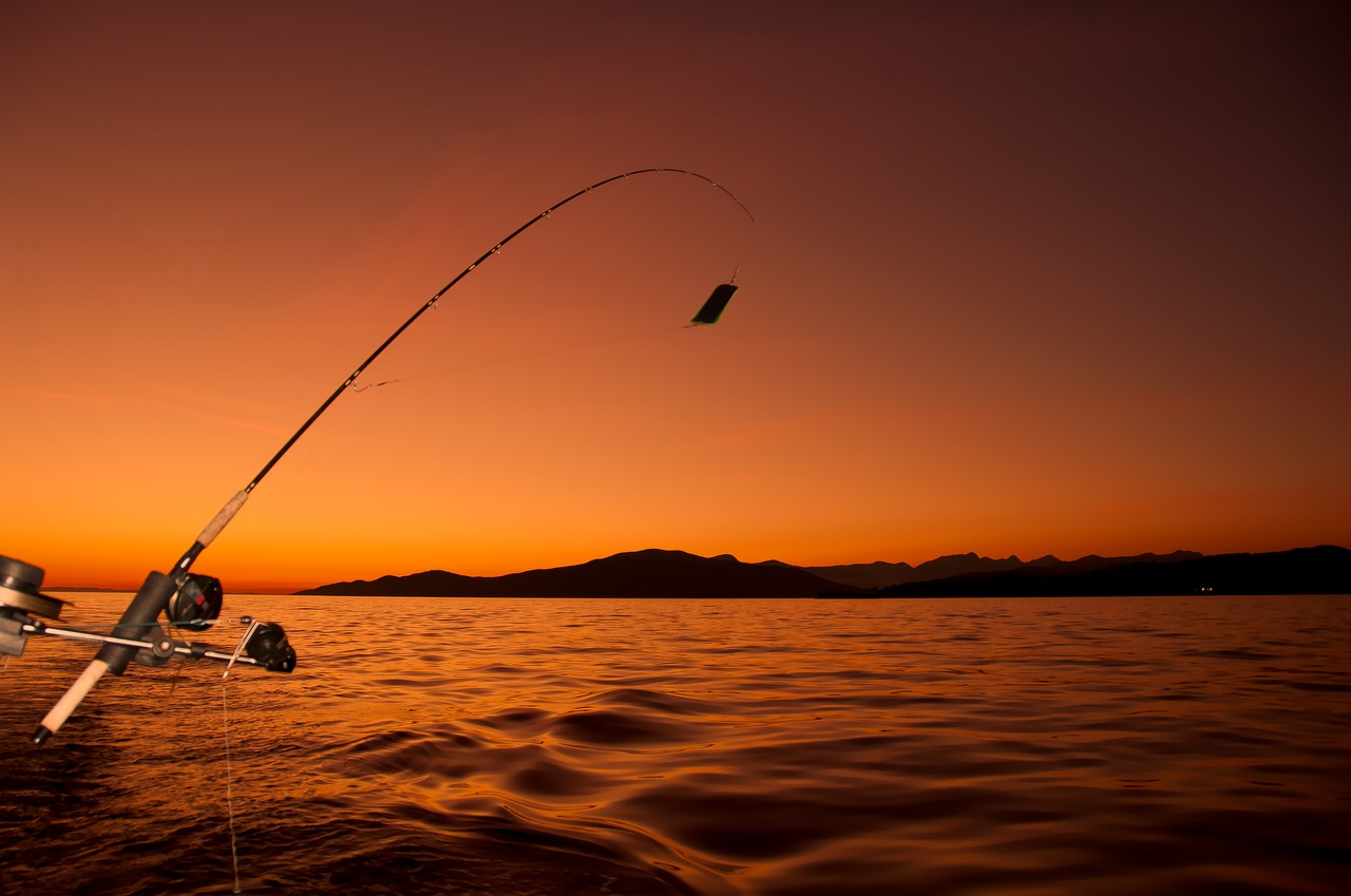 angler  angling  boat free photo