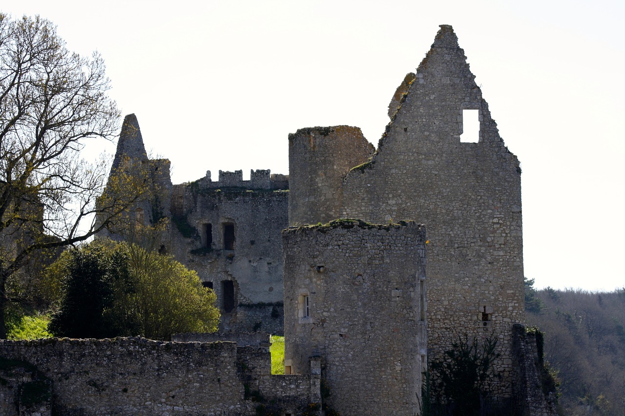 angles sur l'anglin france castle ruins french castle free photo