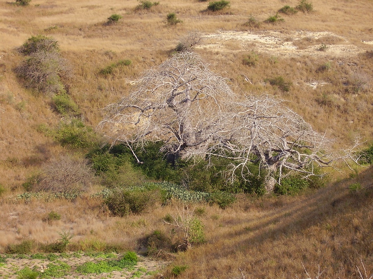angola luanda landscape free photo
