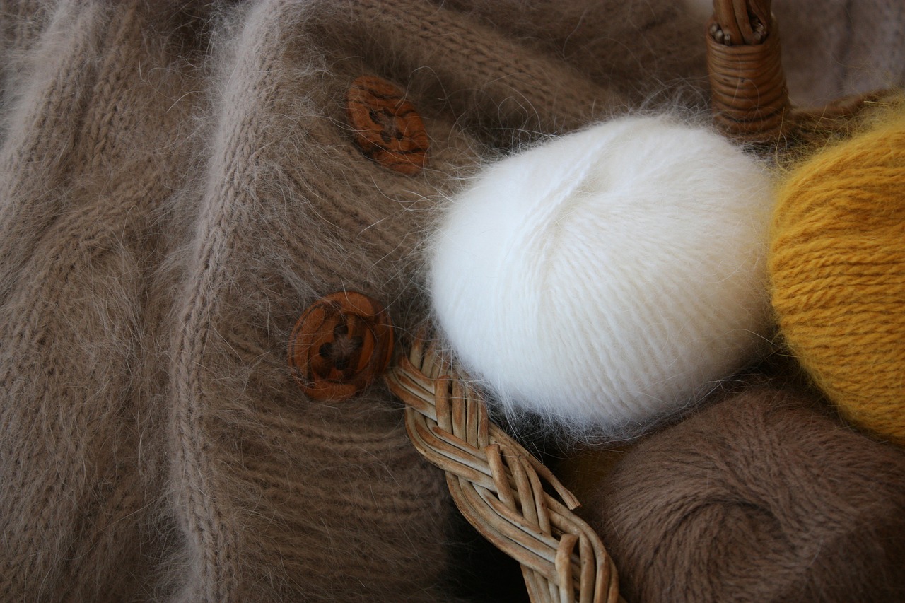 angora wool fluffy free photo