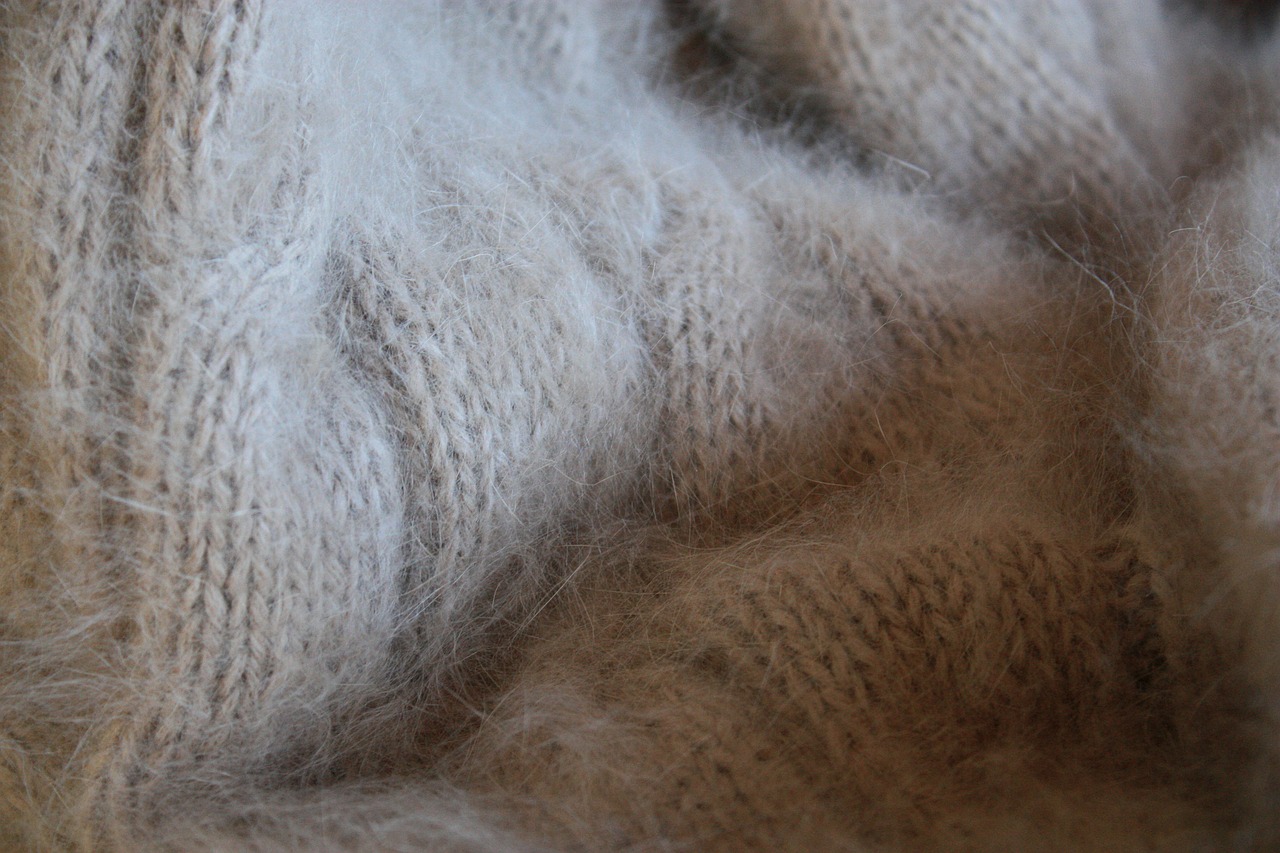 angora knit wool free photo