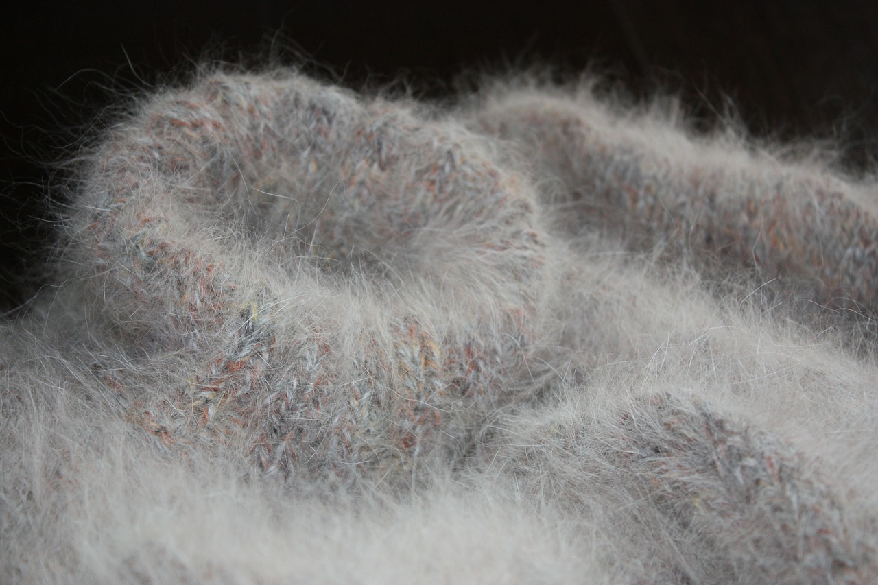 angora wool knit free photo