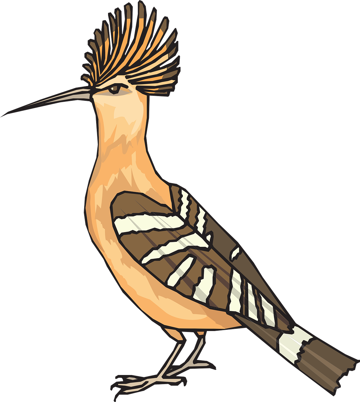 angry,bird,hoopoe,wings,feathers,breed,free vector graphics,free pictures, free photos, free images, royalty free, free illustrations, public domain