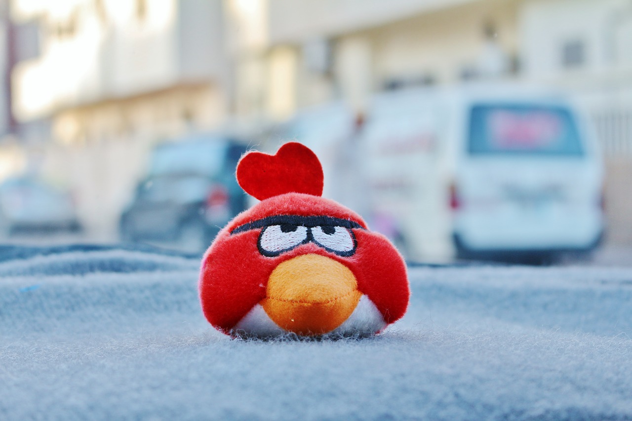 angry bird red angry free photo