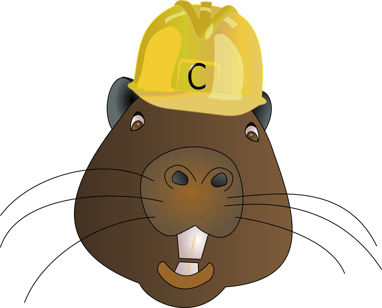 animal beaver cartoon free photo