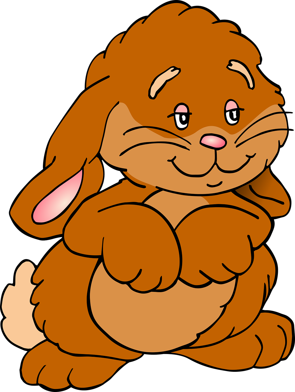 animal bunny colored free photo