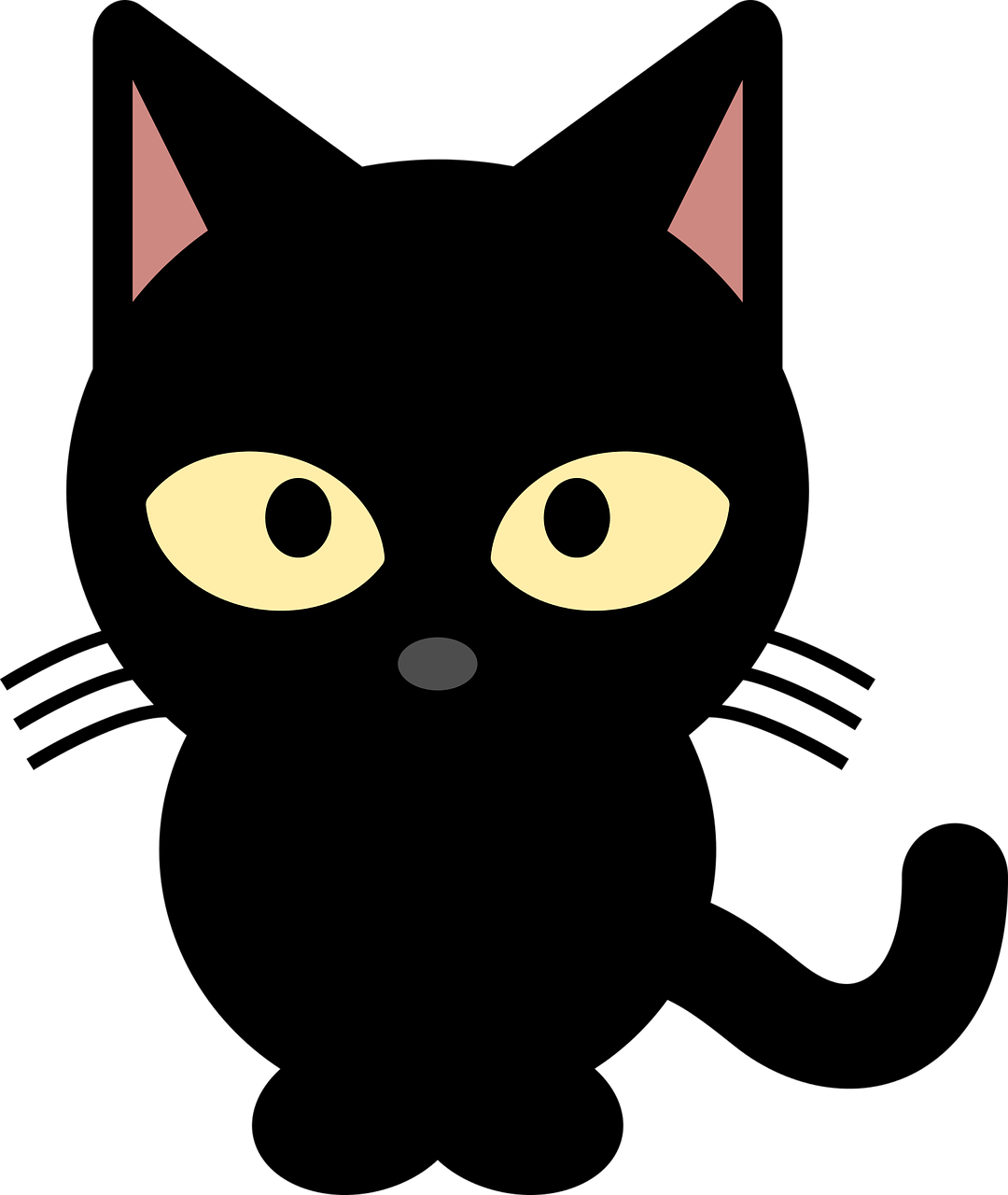 animal black cat cat free photo