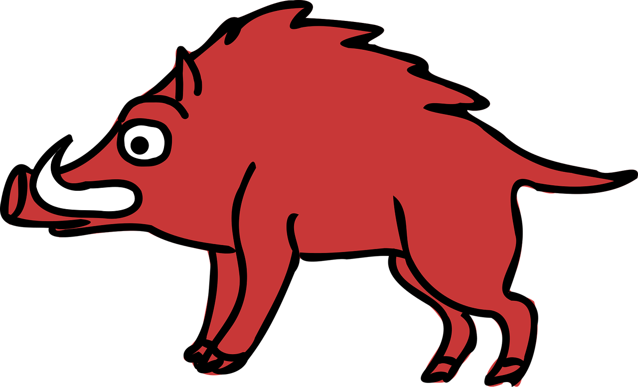 animal boar cartoon free photo