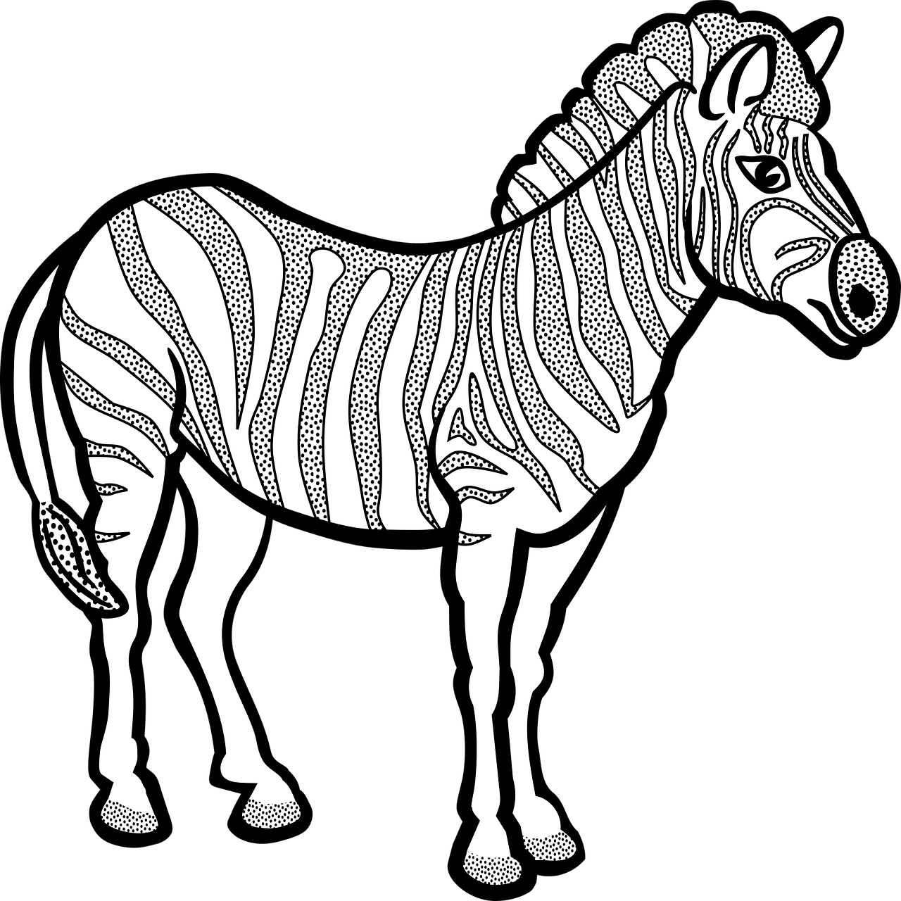 animal short abc pictures zebra free photo