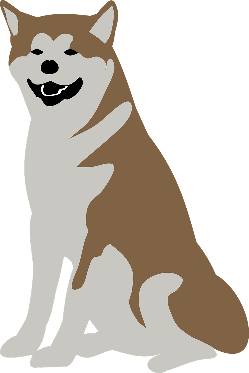 animal dog malamute free photo