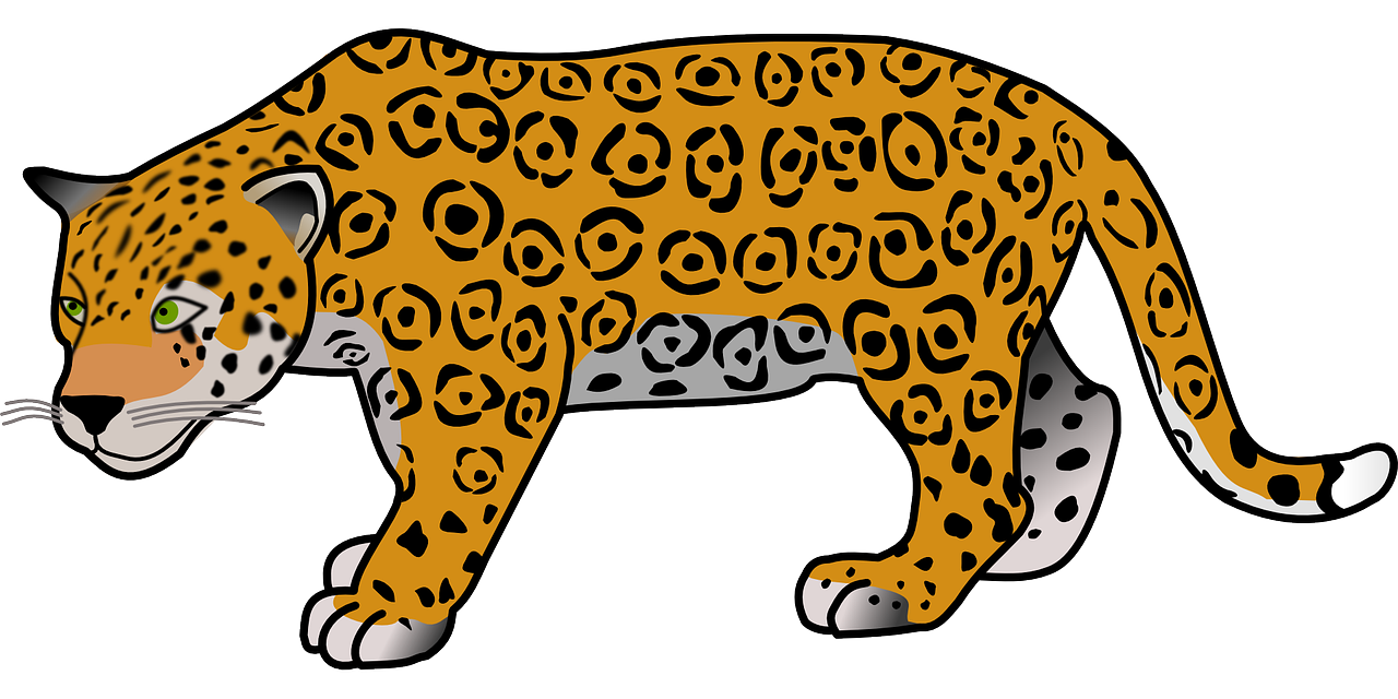 animal jaguar dangerous free photo