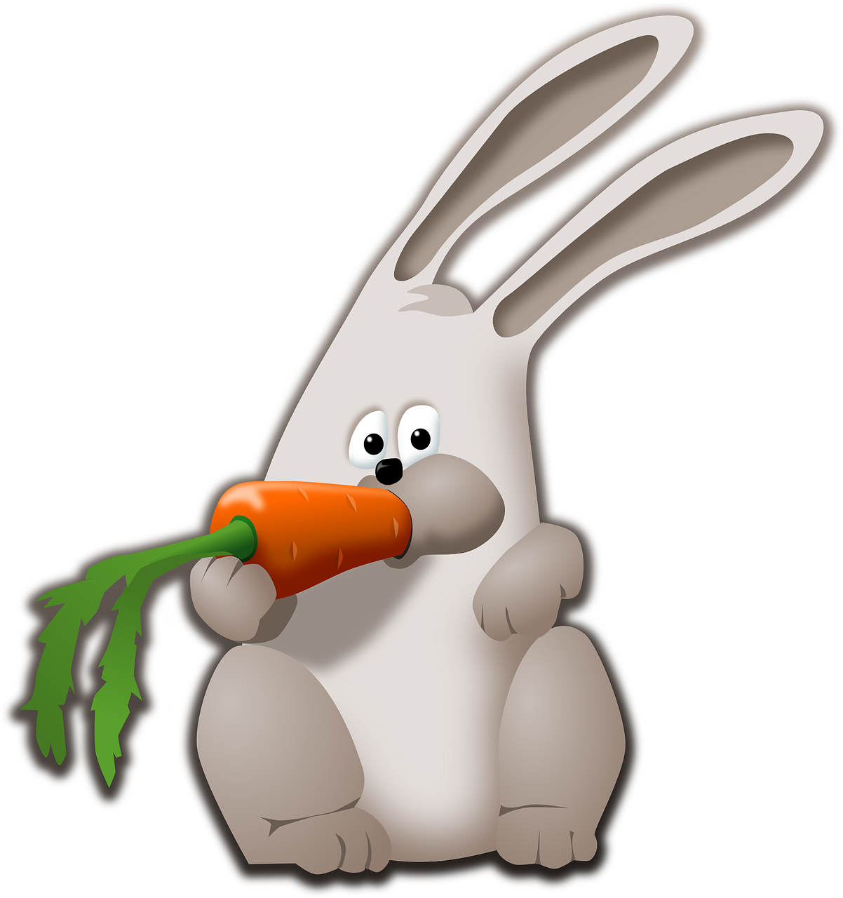 animal bunny carrot free photo