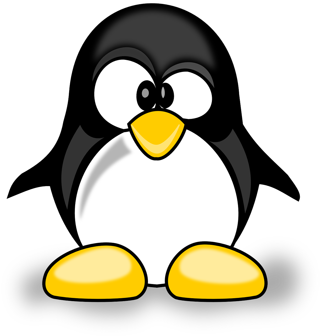 animal cute penguin free photo
