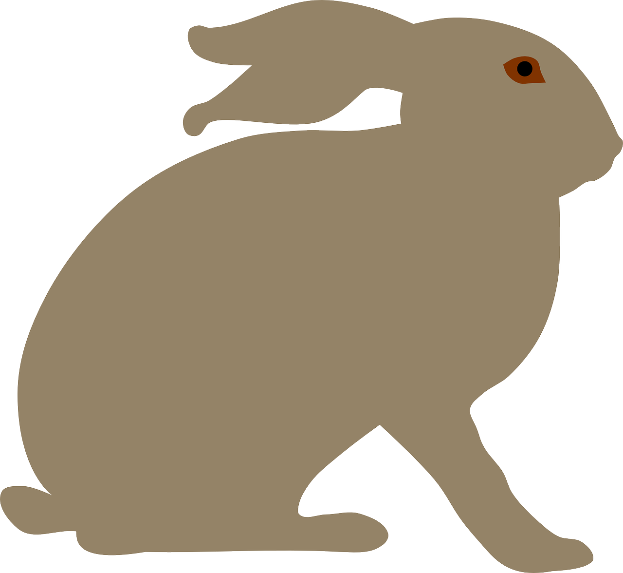 animal hare rabbit free photo