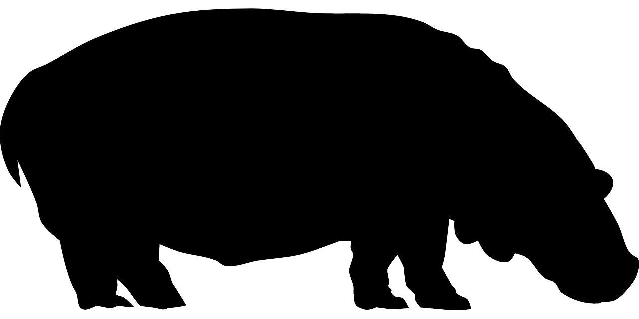 animal hippopotamus silhouette free photo