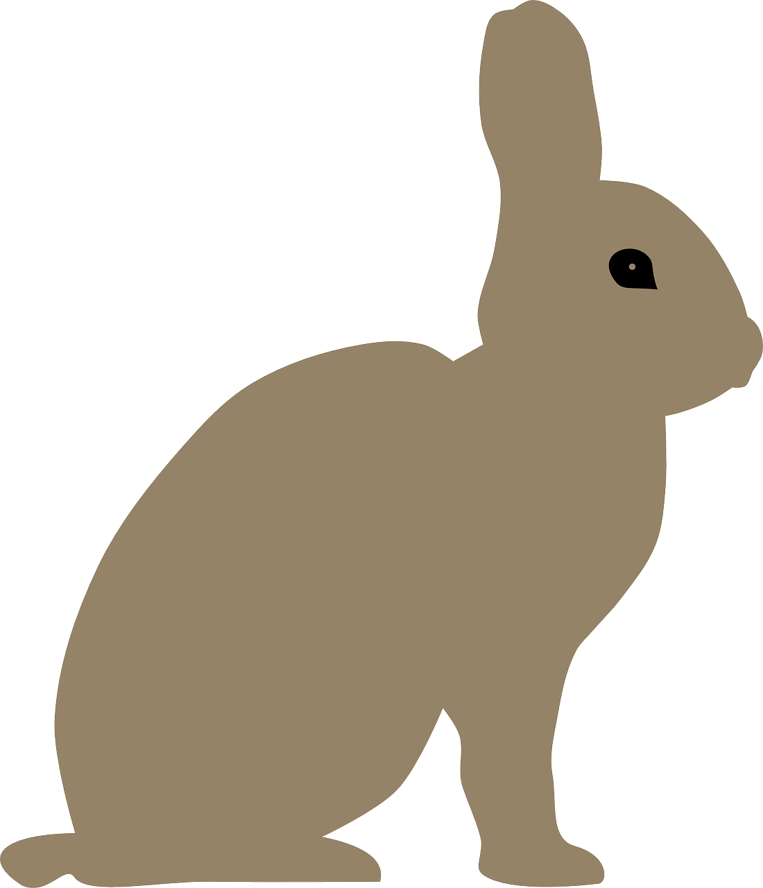 animal rabbit bunny free photo