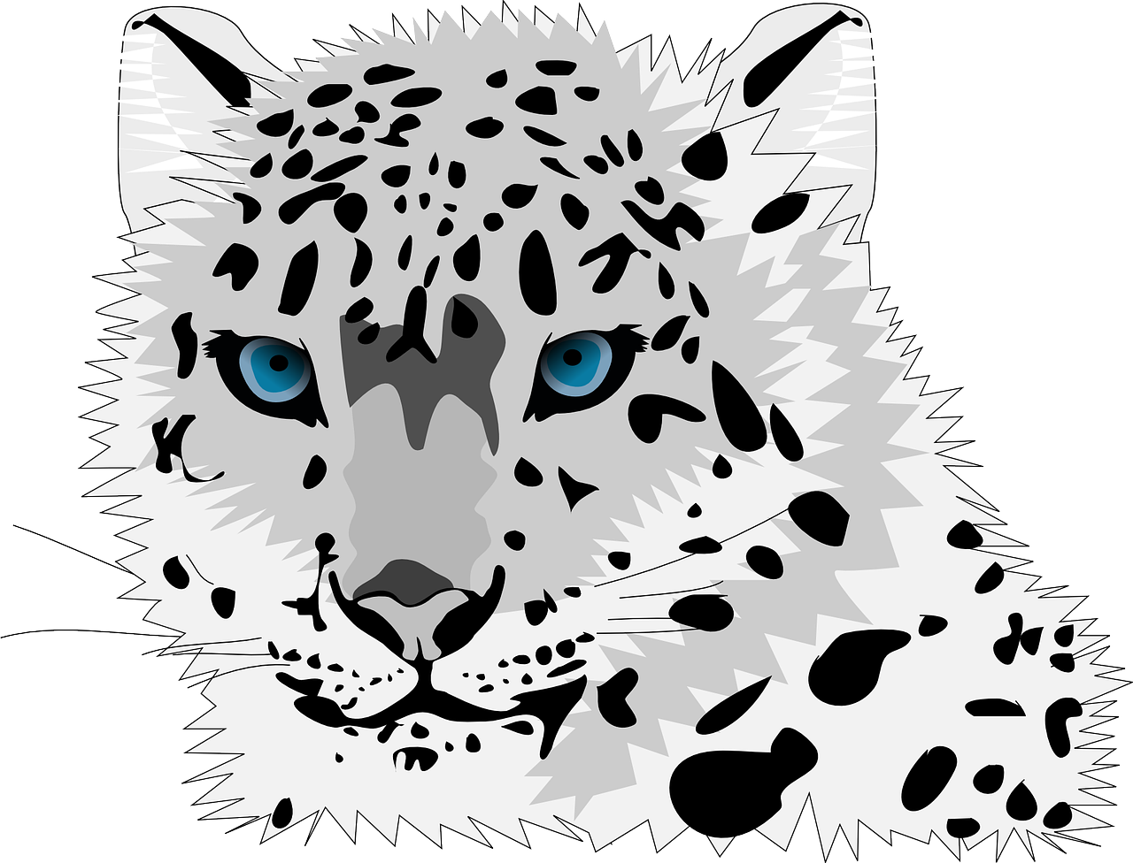 animal cat leopard free photo