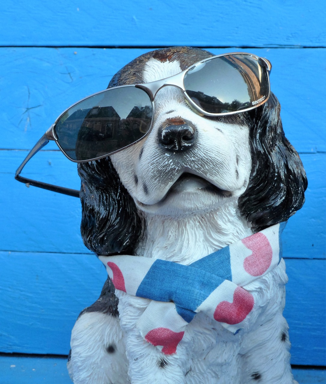 animal dog sunglasses free photo