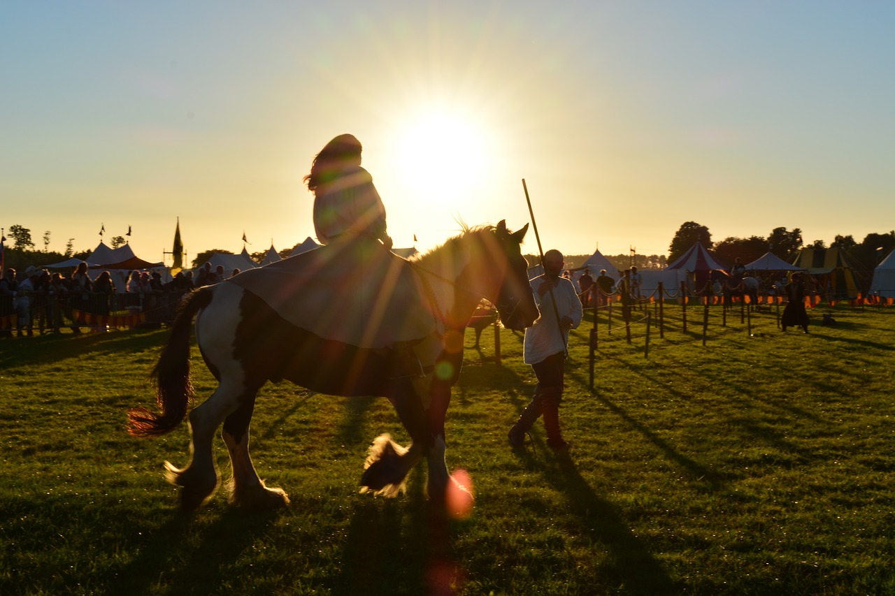 animal horse ride free photo