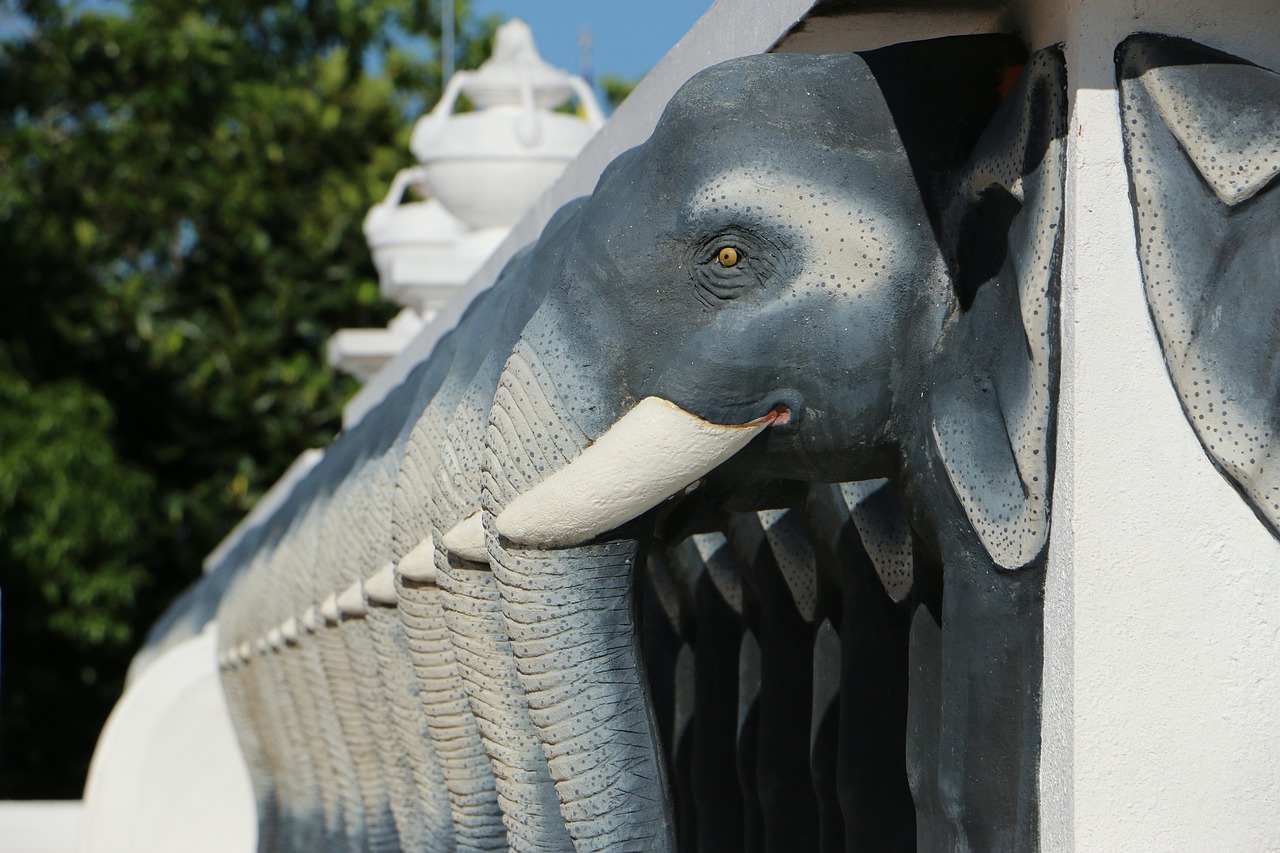 animal elephant pagoda free photo