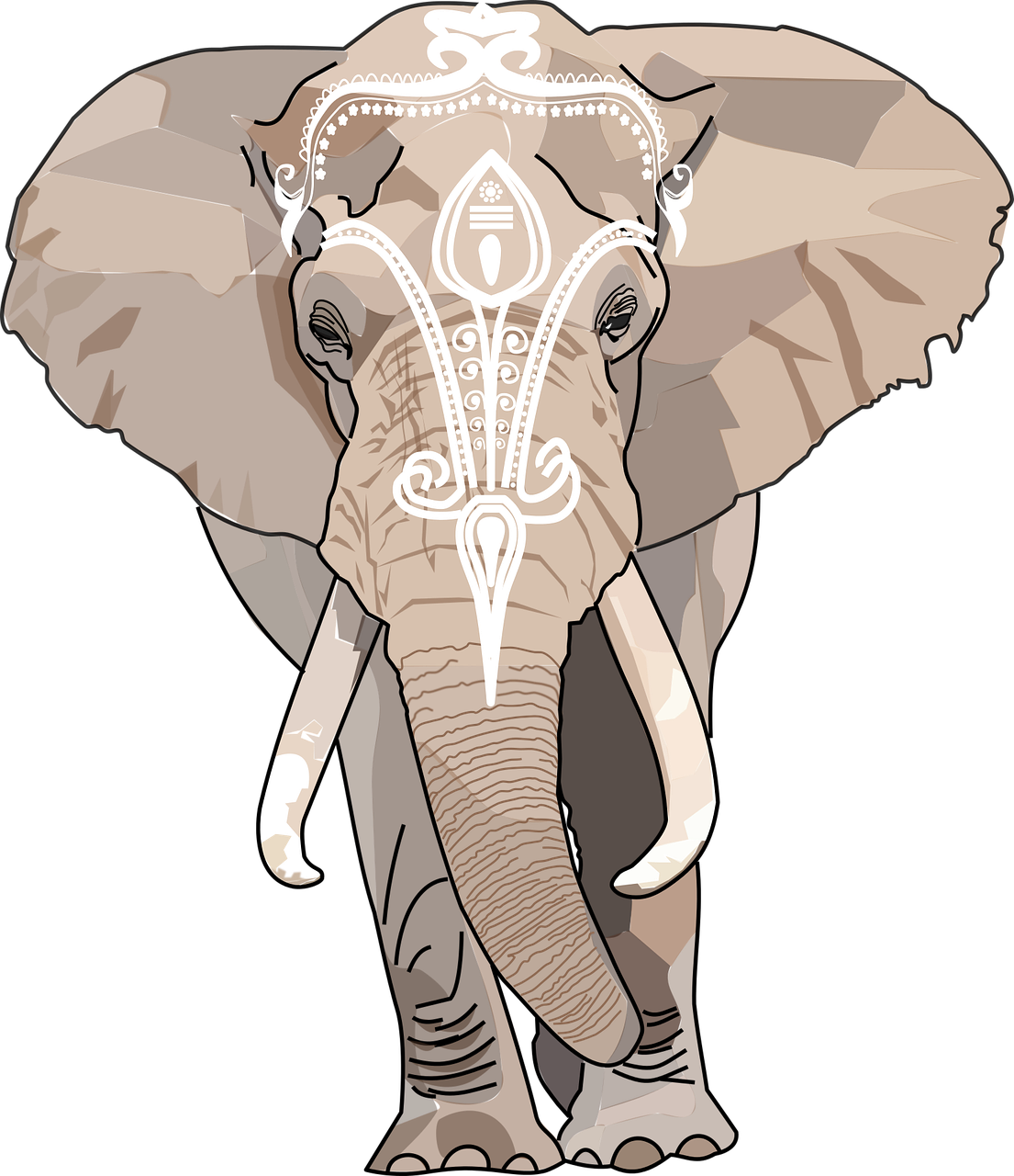 animal  elephant  Free vector graphics free photo