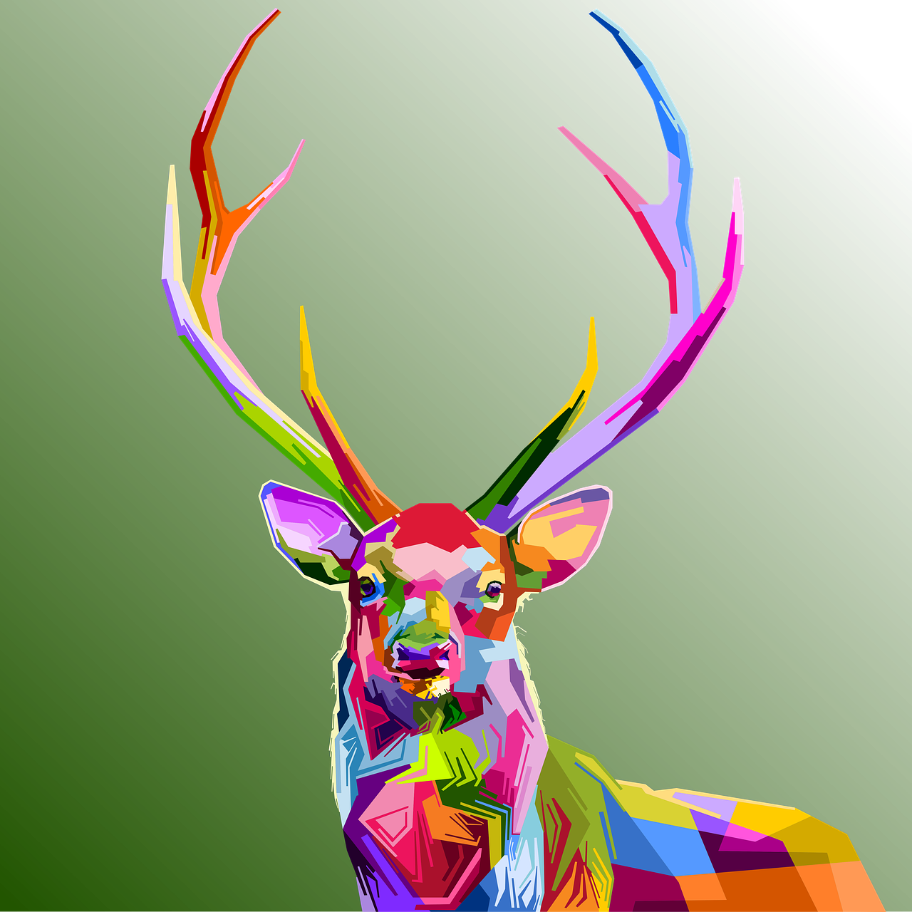 animal  colorful  decoration free photo