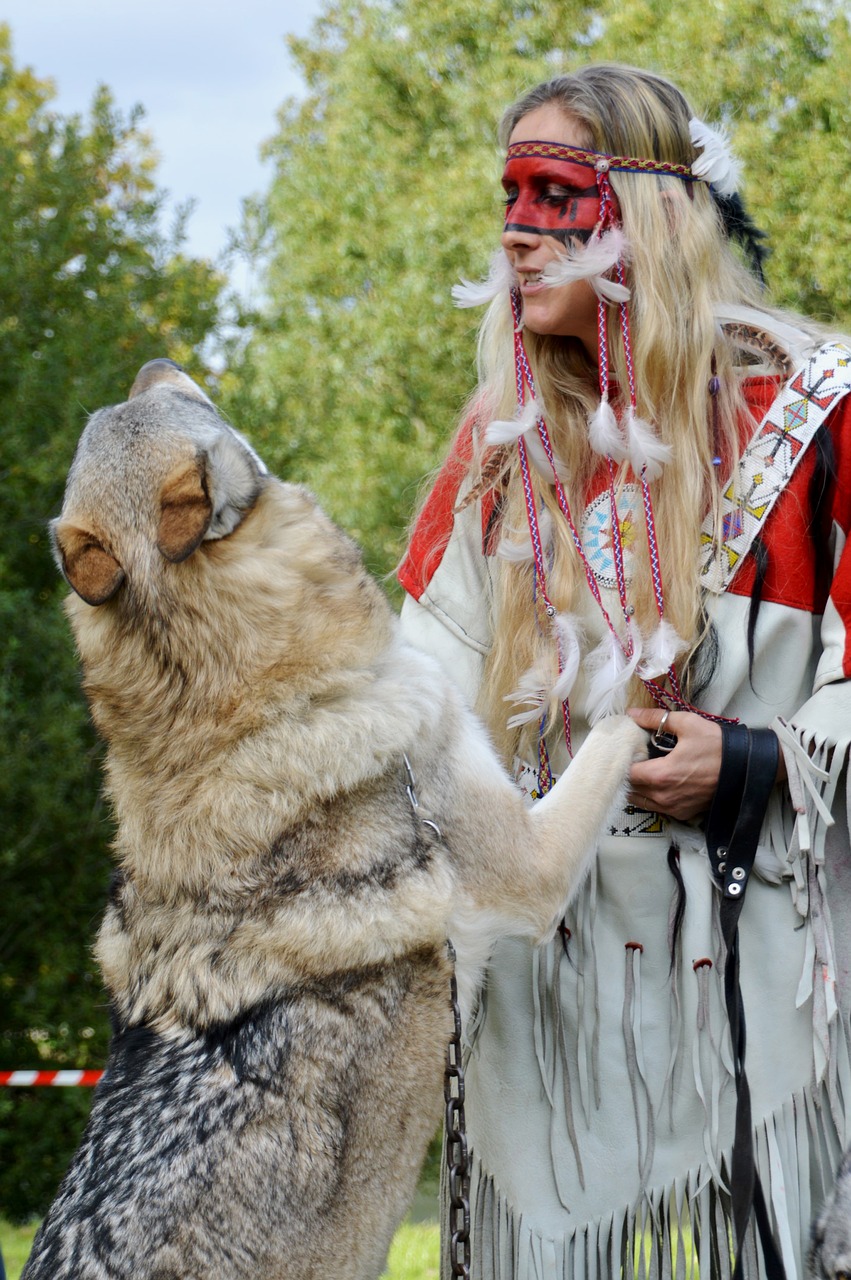 animal  wolf-dog  dressage free photo