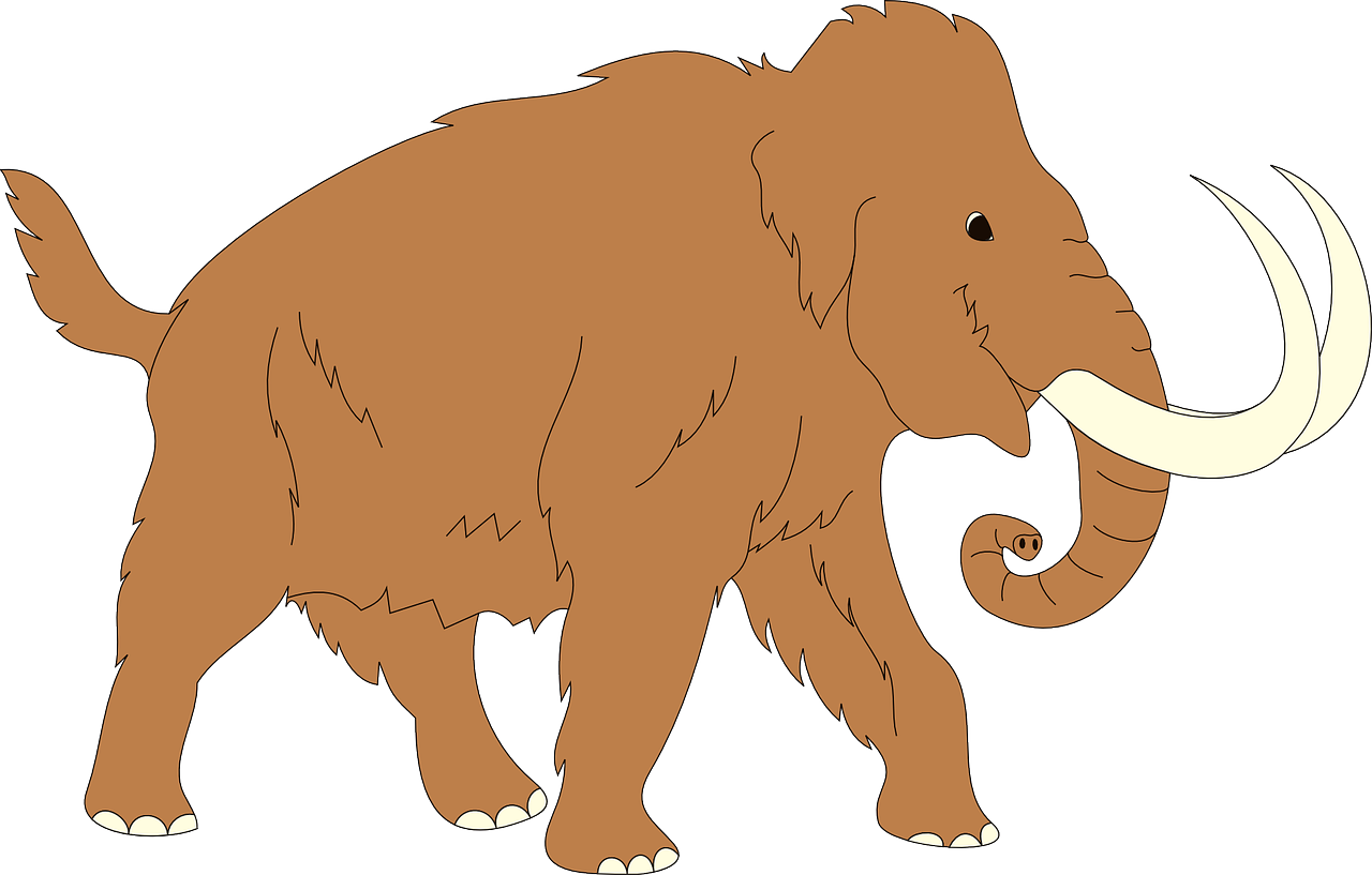 animal ancient mammoth free photo