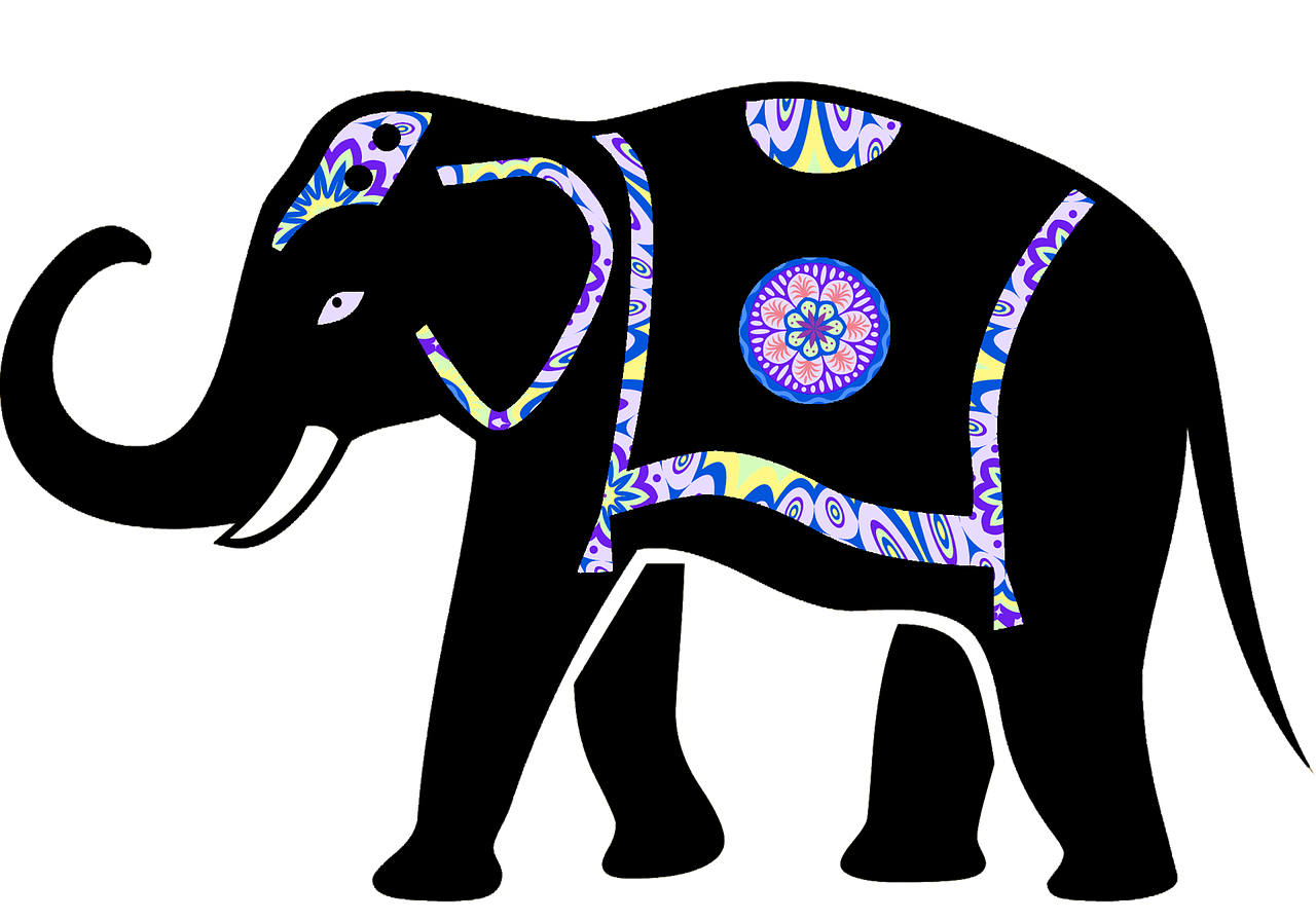animal elephant elephant vector free photo