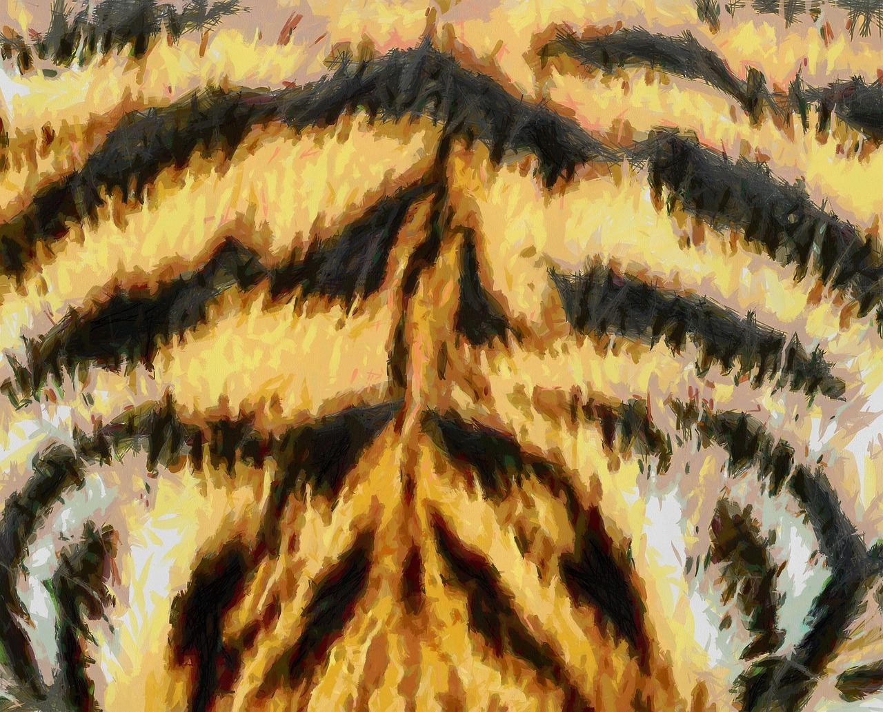 animal fur texture tiger free photo