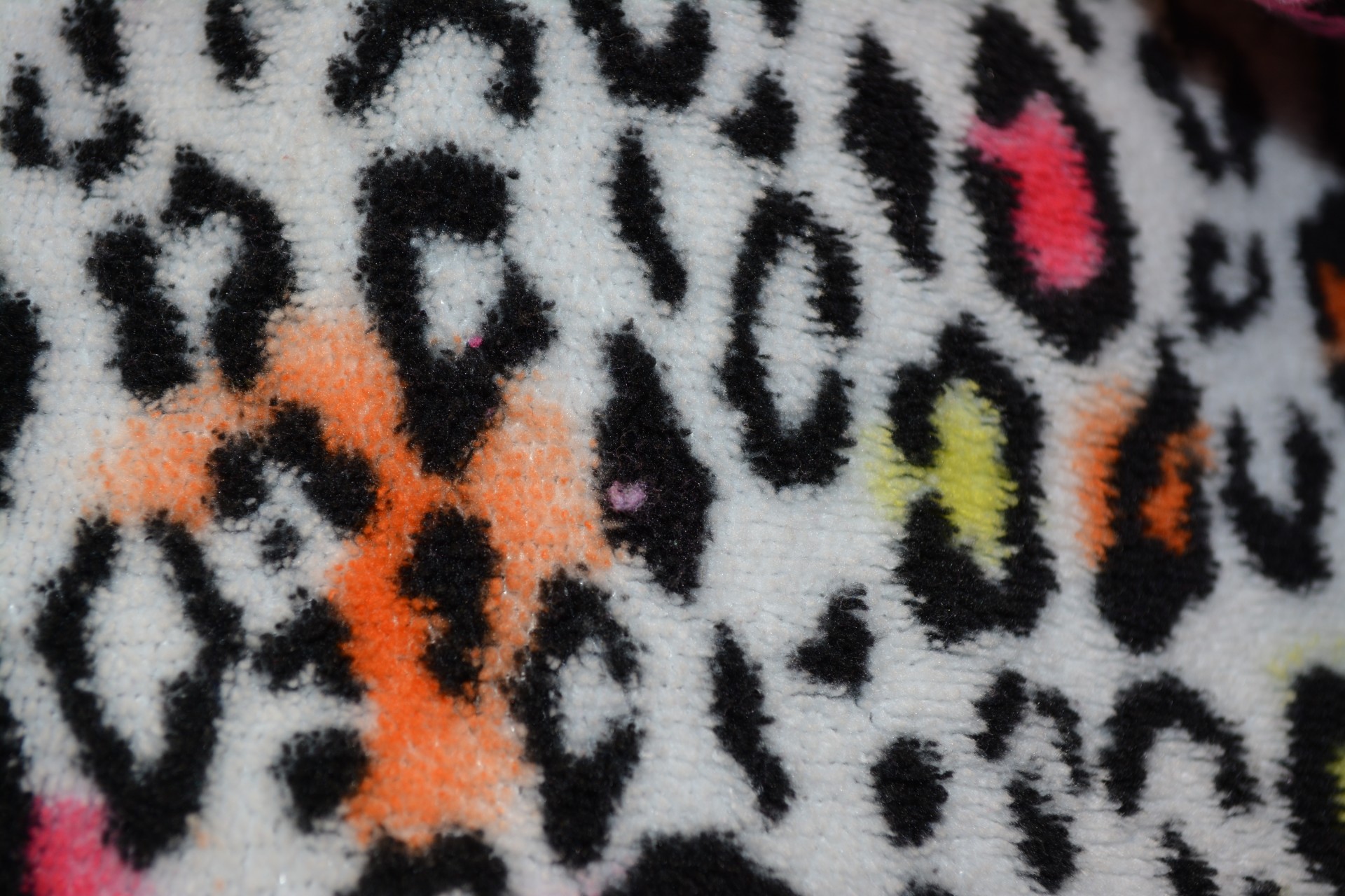 animal leopard pattern free photo