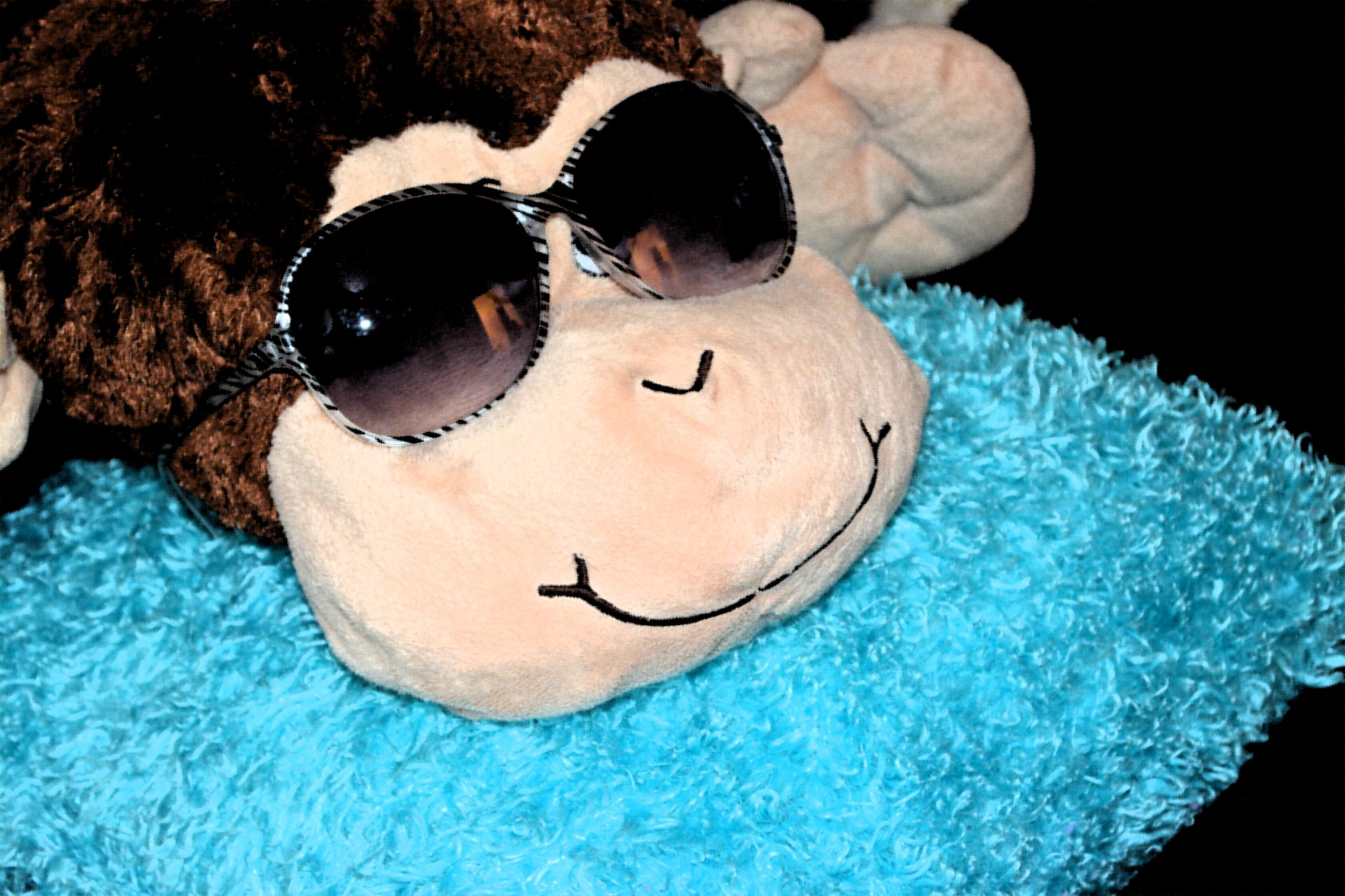 toy monkey glasses free photo