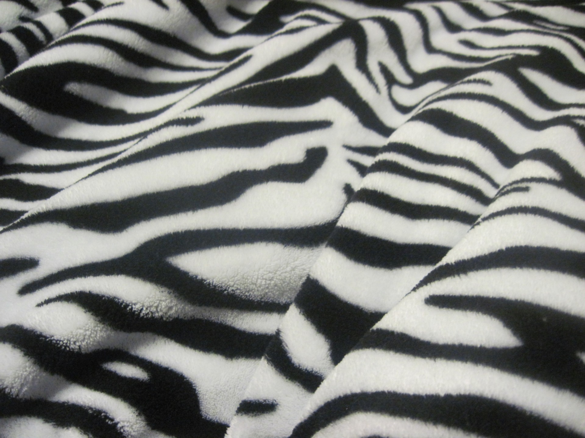 background animal stripes free photo