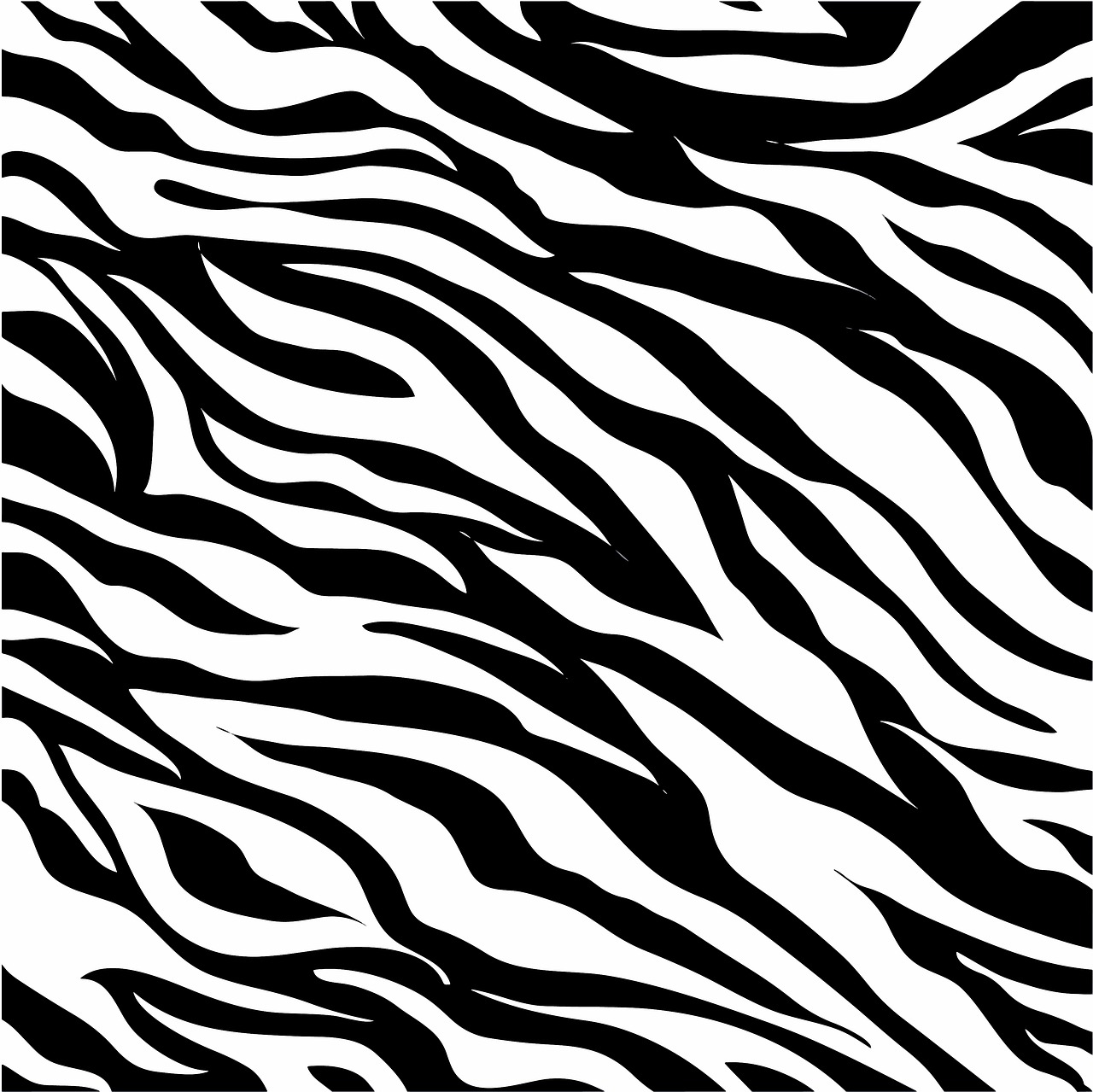 animal print black and white black free photo