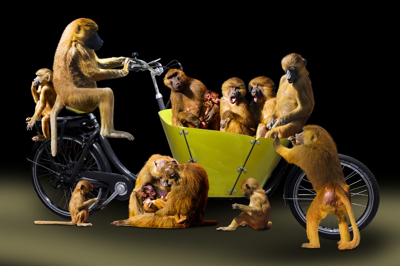 animal world  ape  composing free photo