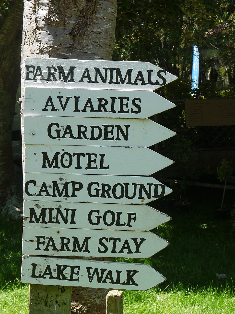 animals directions signs free photo