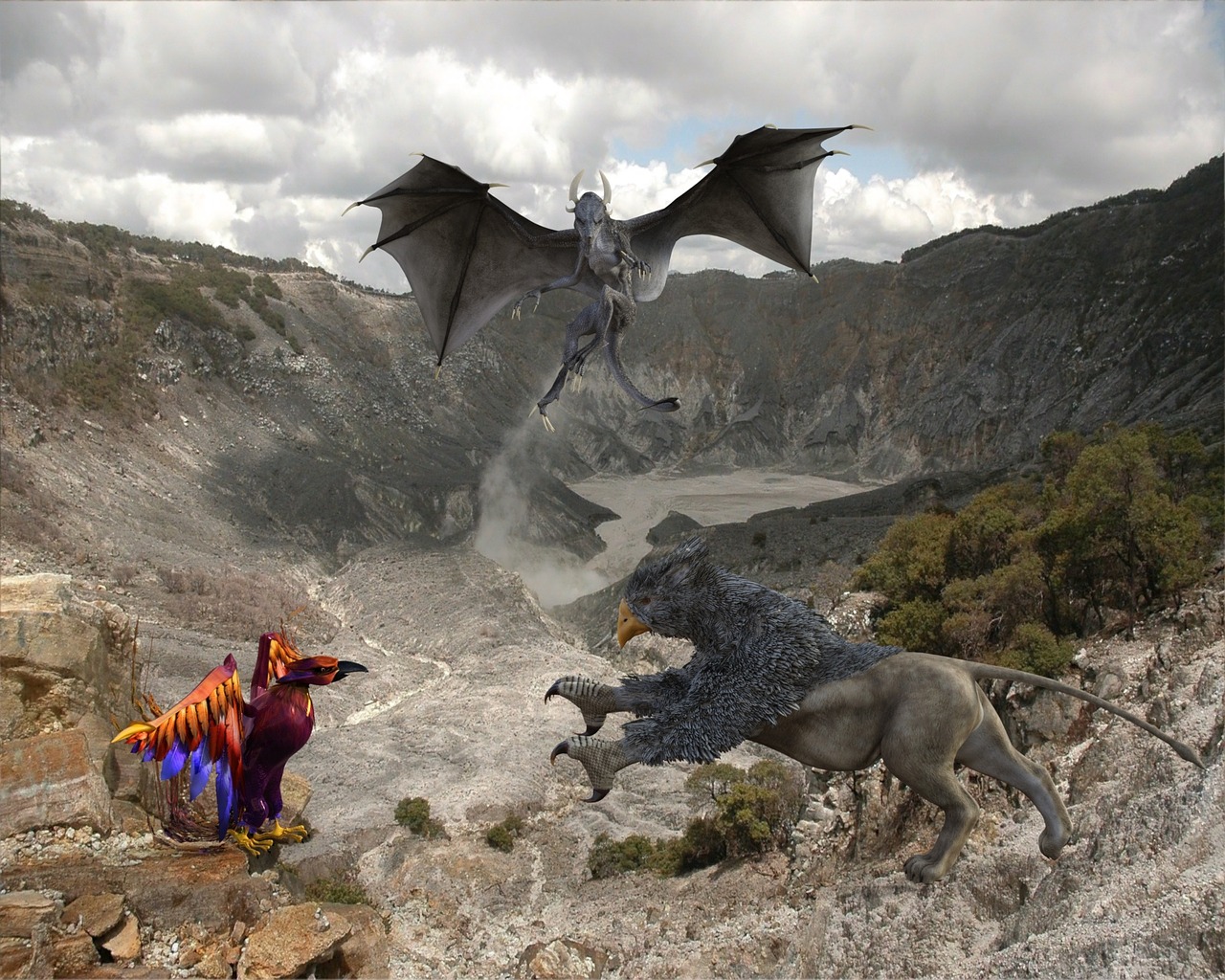 animals fantasy dragon free photo