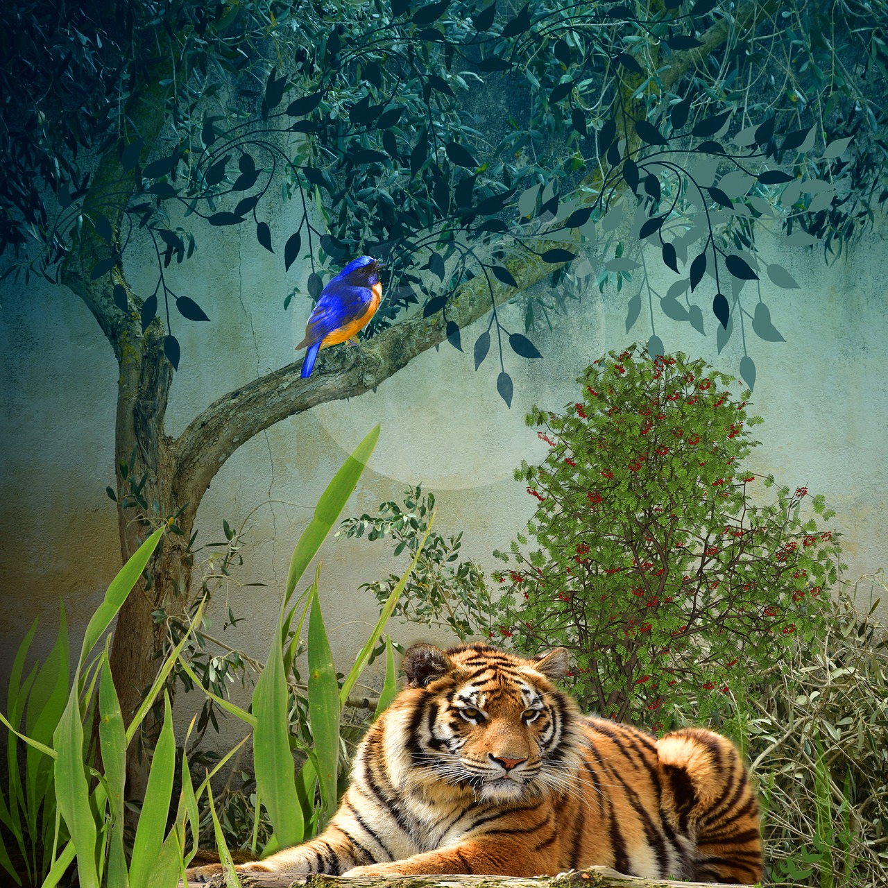 animals bird tiger free photo