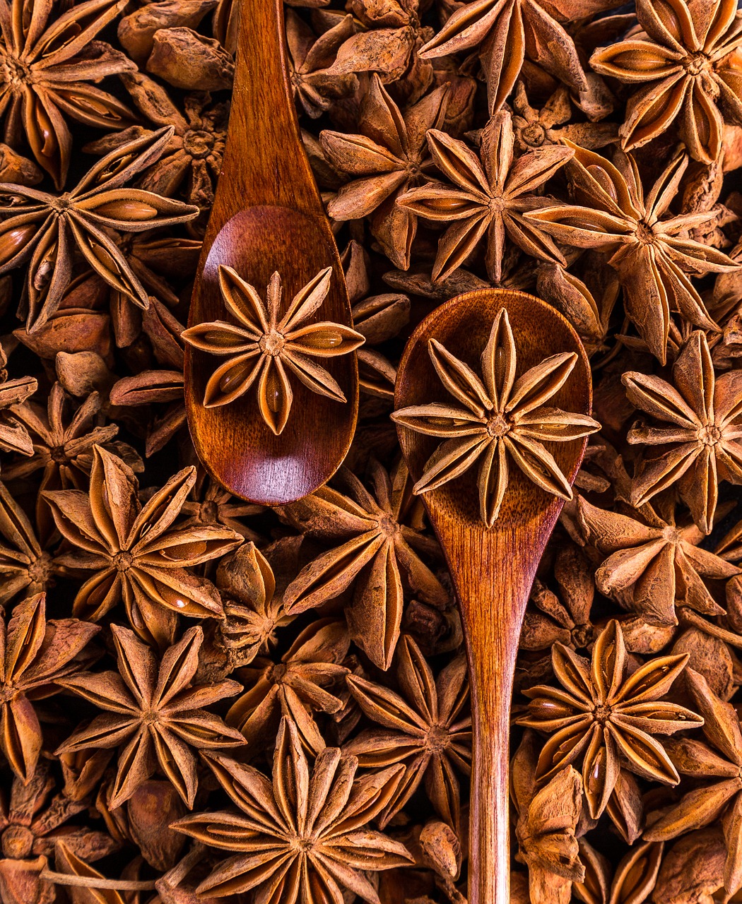 anise spices seeds free photo