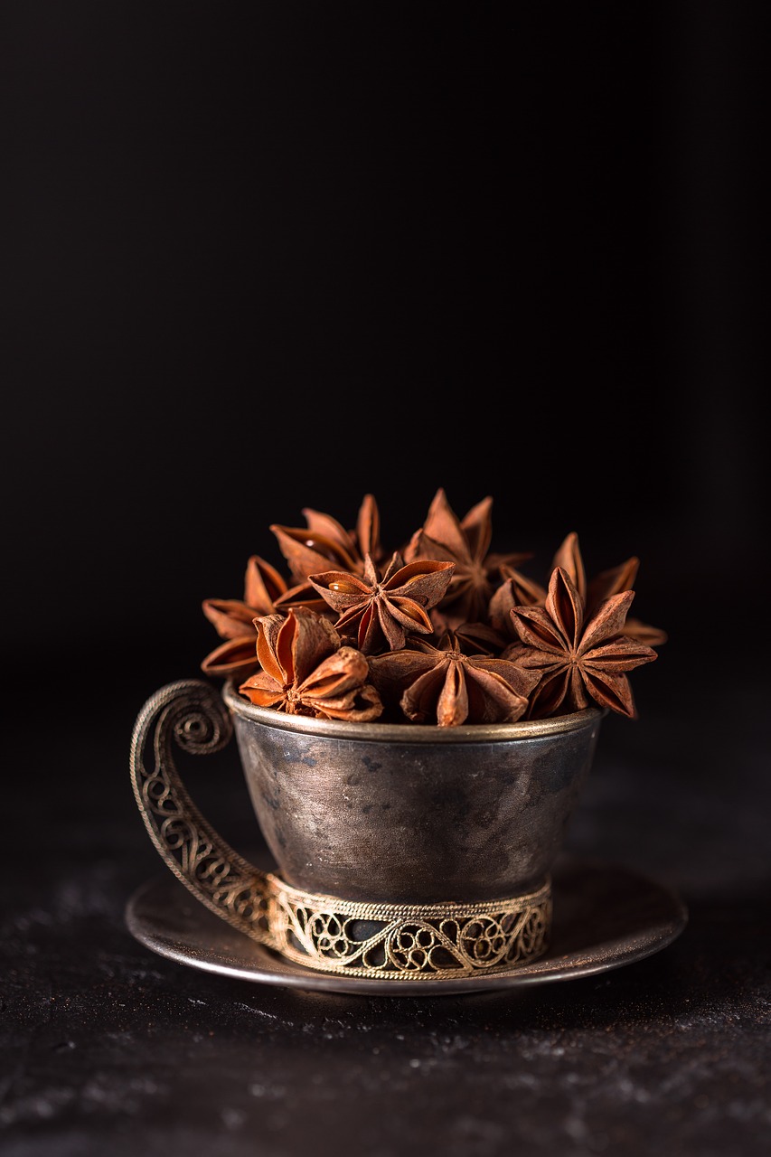 anise star anise seeds free photo