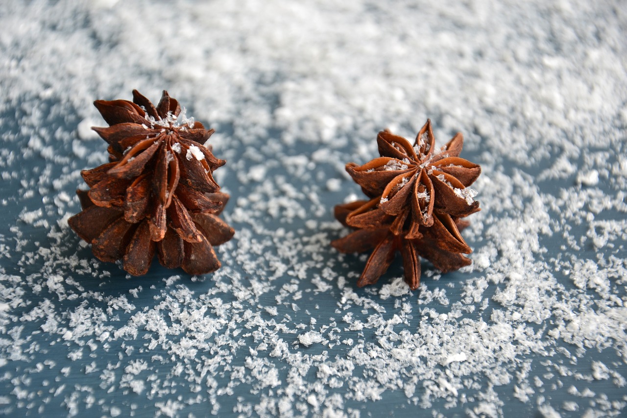 anise  spices  christmas free photo